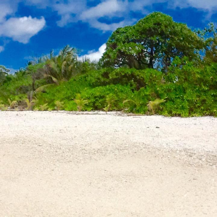 Fare Maeva Moorea Hotel Teavaro Camera foto